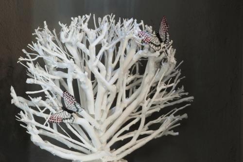 Bed e Breakfast Il Bosco Delle Torte