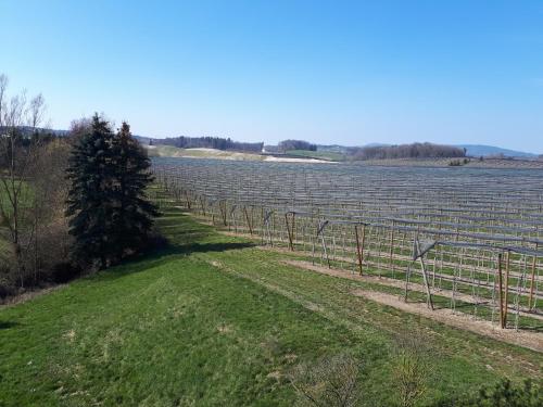 Bodensee Luxus Ferienwohnung Claudia 6