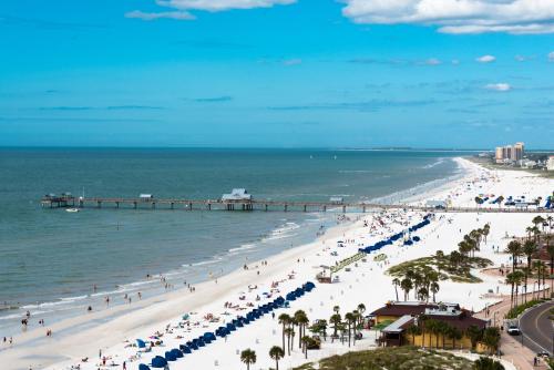 NEW 2bed2bath condo - CLEARWATER BEACH - FREE Wi-Fi and Parking in Clearwater City Center