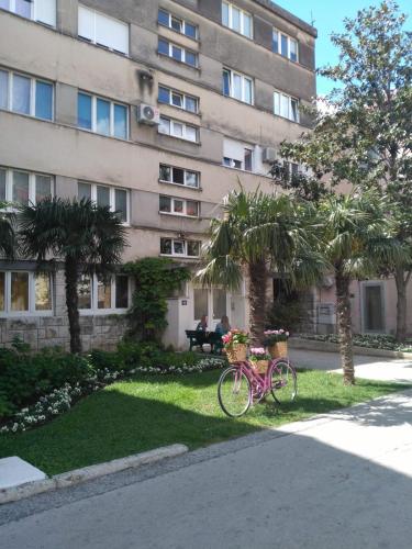  Alissa Fairy tale in Omiš