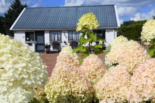  Sfeervol Appartement Het Knooppunt, Pension in Nuis bei Opende-Oost