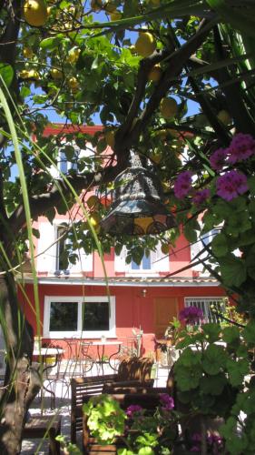 Hôtel La Villa Patricia - Charme et Tradition - image 11