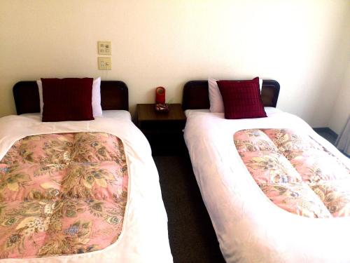 Twin Room with Private Bathroom - River view 302