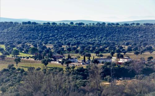  Complejo Valdepusa in Toledo