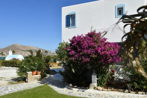 Seafront Villa Franca, Kolympithres gîte à louer Kolympithres