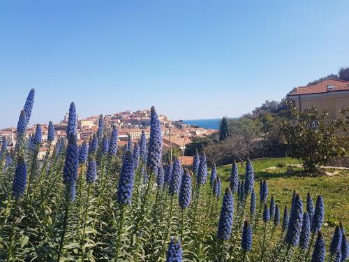  Villa Caterina in Imperia