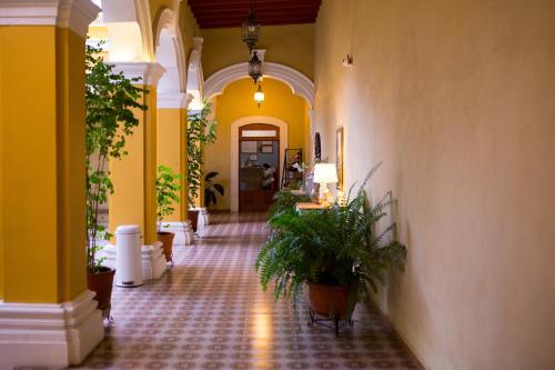 外部景觀, Hotel La Casona de Don Jorge in 科利馬