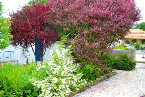  Quinta D'Avó Amélia in Alquerubim