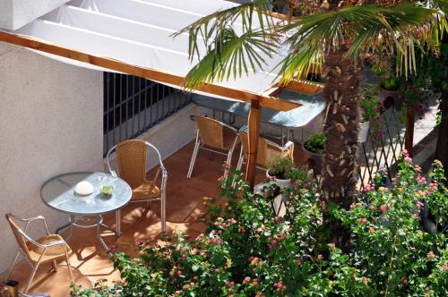 Hotel Oasis - image 8