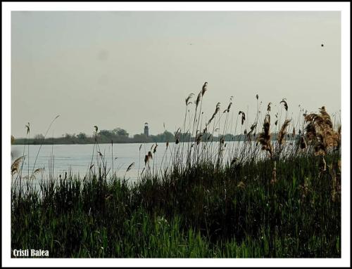 Art Hostel Sulina