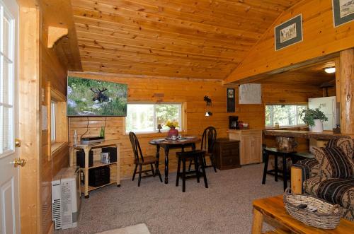 Remington Retreat by KABINO Dog Friendly FirePit Sleeper Sofa WiFi Grill in Island Park, USA