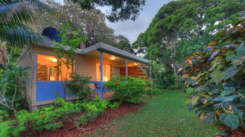 The Broken Banyan Lord Howe Island