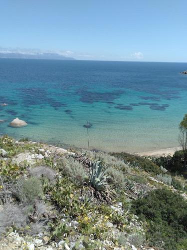  Isola del Giglio, Pension in Giglio Porto