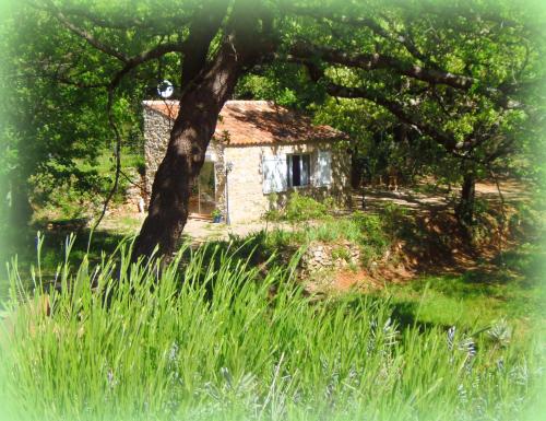 Domaine de l'Insolite