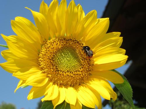 Ferienwohnung Brigitte Perner - image 8