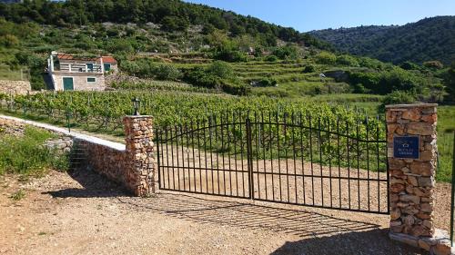 Holiday Home Vineyard house