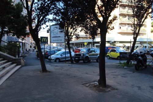 Star of Rome - image 5