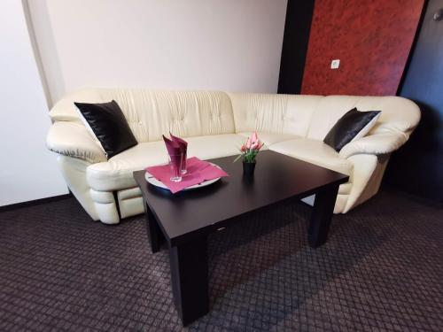 Pensiunea Stefan - image 4