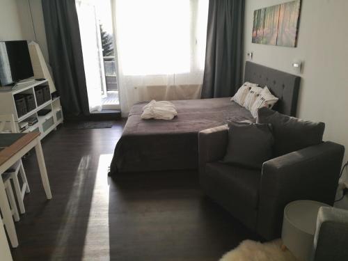 Top Appartment mit Weitblick und Late Check-Out!!! - Apartment - Sankt Englmar