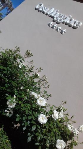 Hotel Orsa Maggiore - image 13