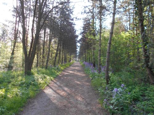 Sports un aktivitātes, Ferienapartment-Monteurwohnung-Muldestausee in Muldestausee