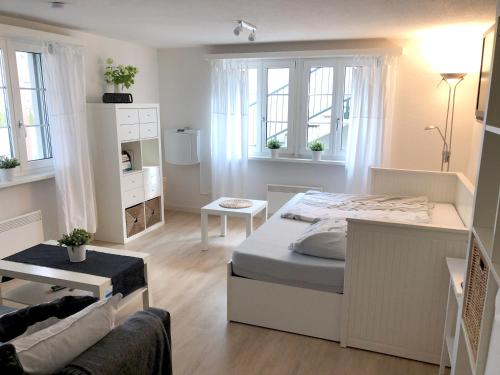 Ferienwohnung Erlinsbach SO - Apartment - Niedererlinsbach