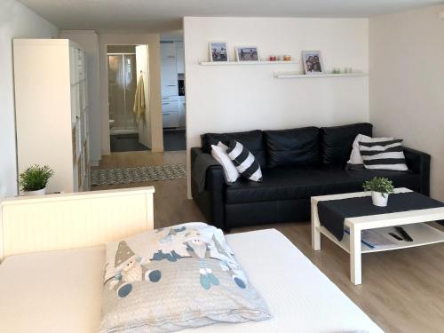 Ferienwohnung Erlinsbach SO in Erlinsbach