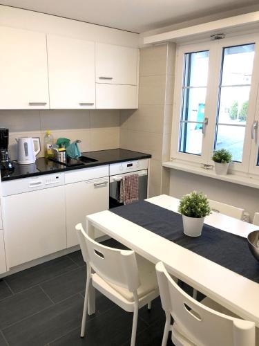 virtuve, Ferienwohnung Erlinsbach SO in Erlinsbach