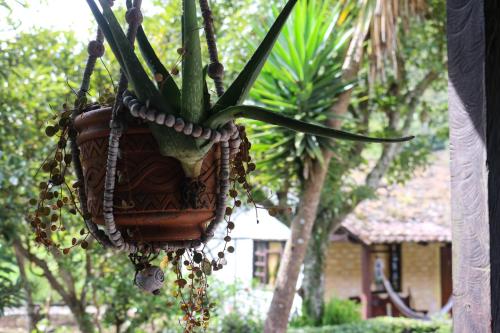 Hostería EL Trapiche Lodge & Spa