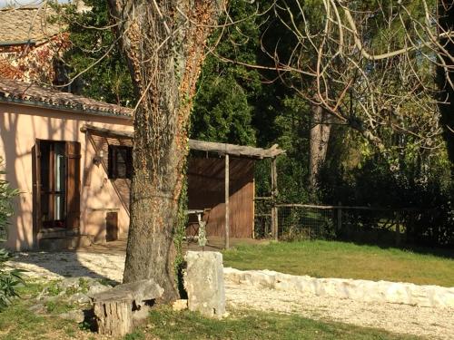 Silence and relaxation for families and couples in the countryside of Umbria - image 8