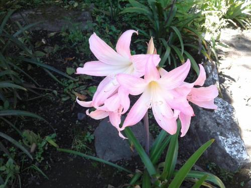 Hostería EL Trapiche Lodge & Spa