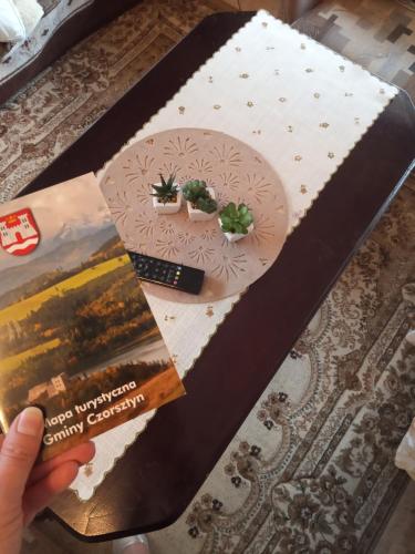 Domek nad Jeziorem Czorsztynskim