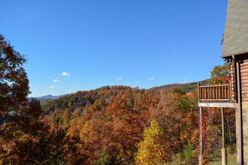 Harvest Moon Cabin - image 5