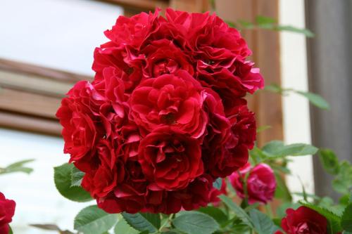 豪斯林登自助式服务公寓