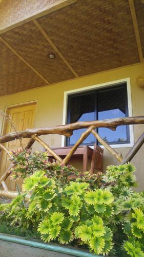 Miki's Guest House