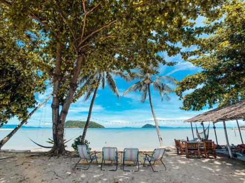 Photo - Colorful Hut