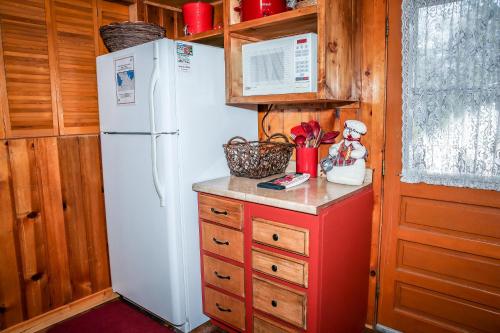 Cinnamon Bear Cabin - image 8