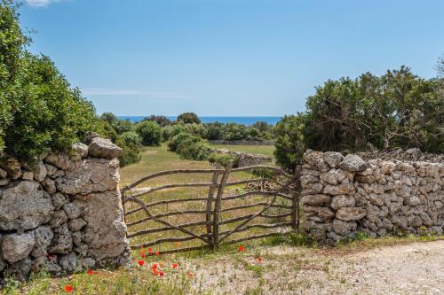 Finca Binicalaf Vell - image 9