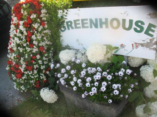 B&B Greenhouse 37