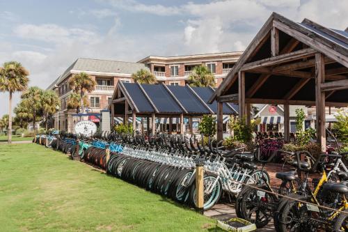 Studio Condo Off Scenic Highway 30A - image 8