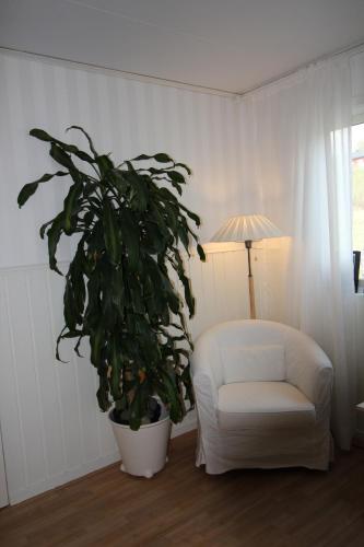 Apartment - Split Level