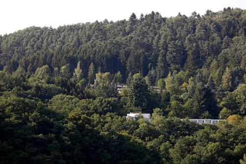 A környék, Landhaus Wald und See Nr. 35 in Biersdorf