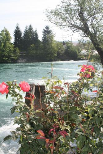 LGP Exclusive Apartment - image 13