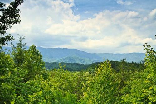 Country Bear Hideaway - image 6