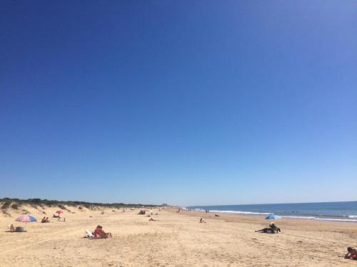 Piso Nuevo Portil - Edificio Albatros Piso Nuevo Portil - Edificio Albatros