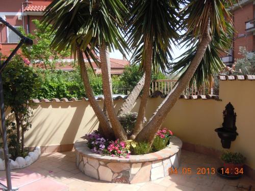 Nataly's House Bed&Breakfast - 정원