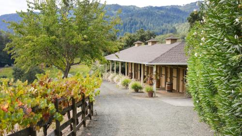 Sonoma Valley Vineyard Estate - image 2
