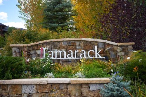 Snowmass Village Condo - image 2