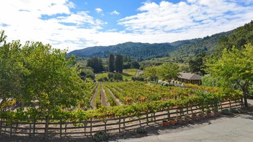 Sonoma Valley Vineyard Estate - main image