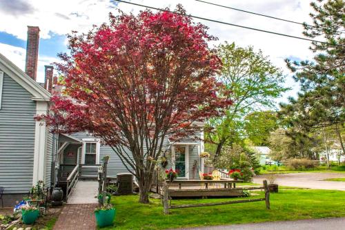 Boothbay Harbor Cottage﻿ Apts - image 3